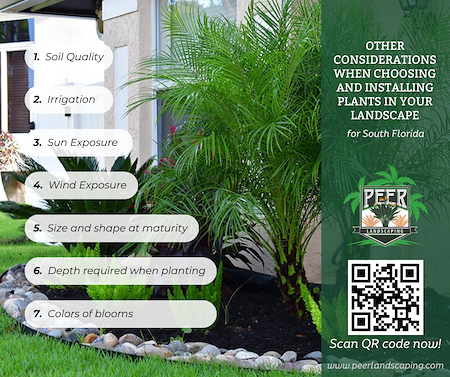 Other Considerations When Choosing And Installing Plants In Your Landscape