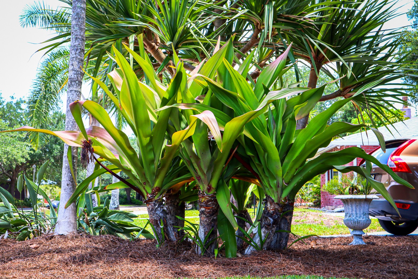 08 landscapers fort myers fl