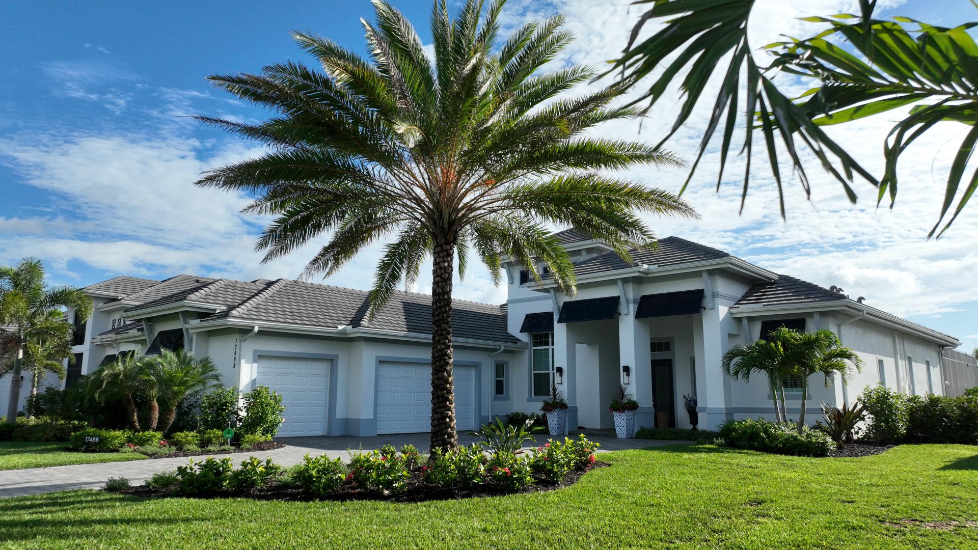 02 palm tree installation fort myers