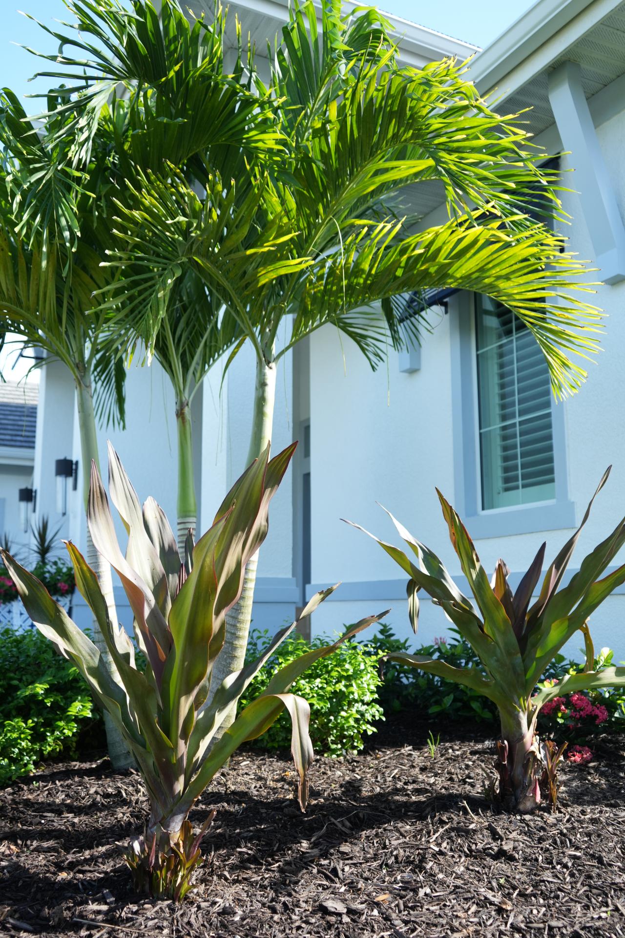 06 landscape designers fort myers