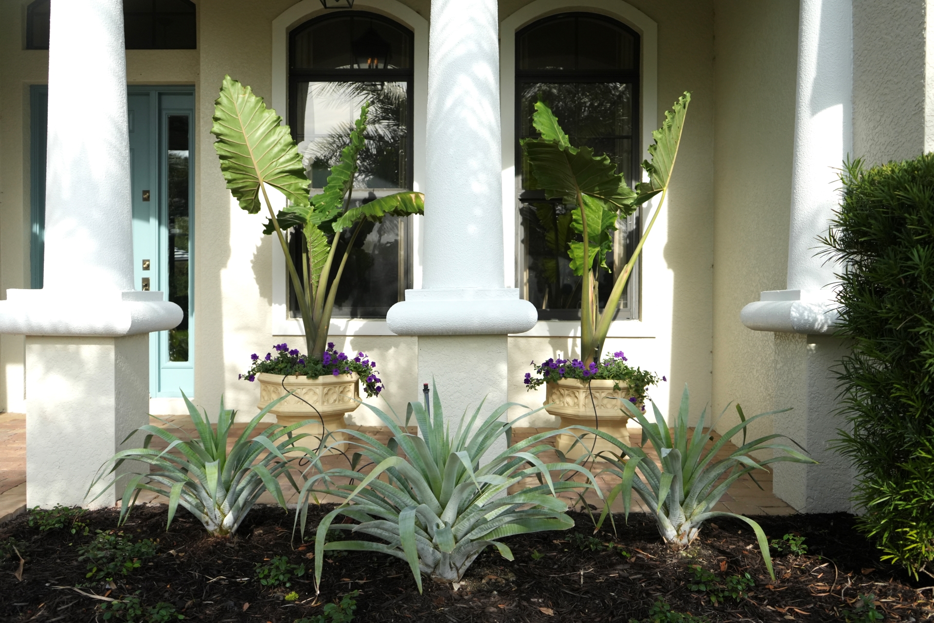 06 best landscape design fort myers