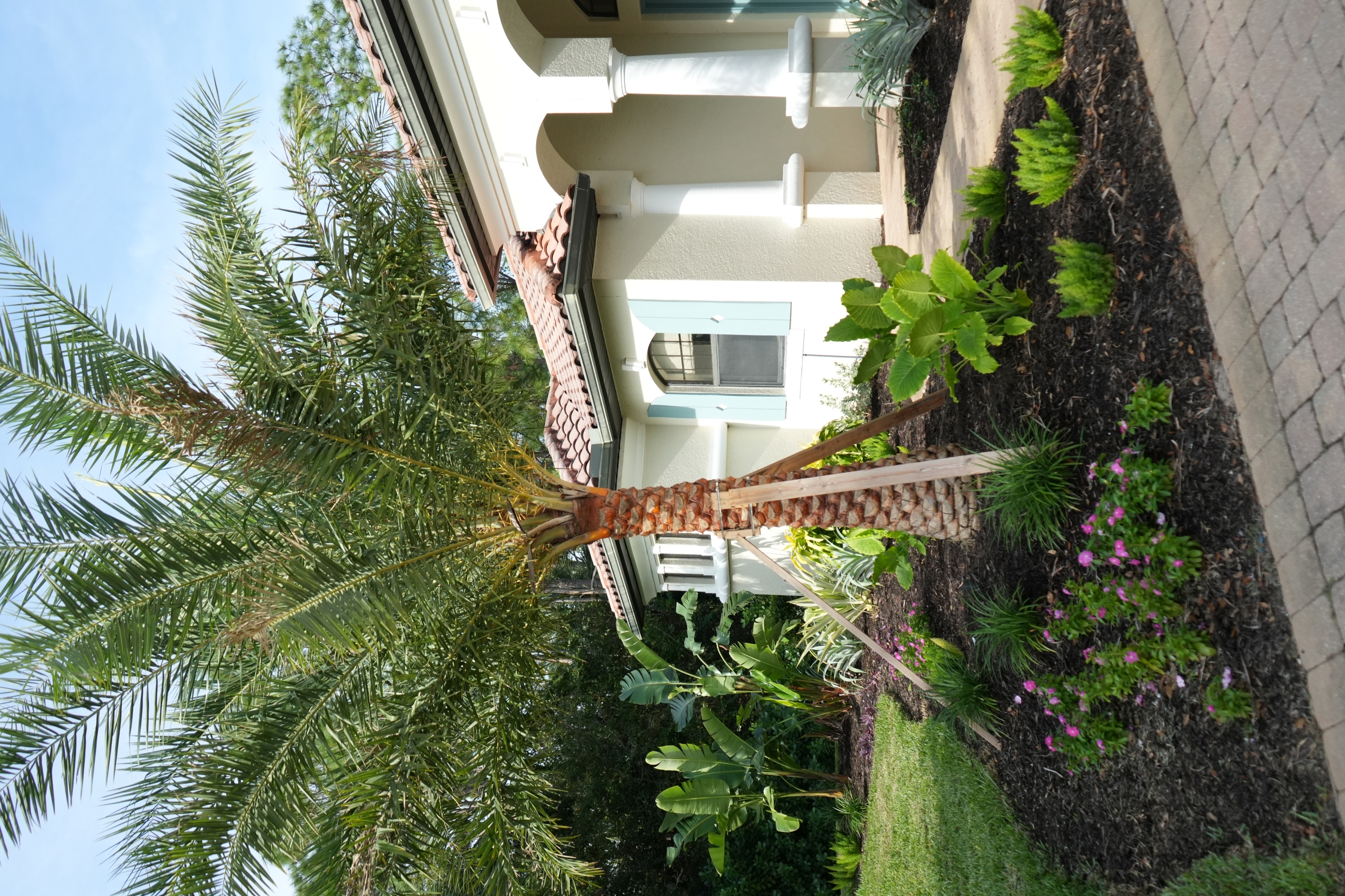 09 tropical landscape design fort myers