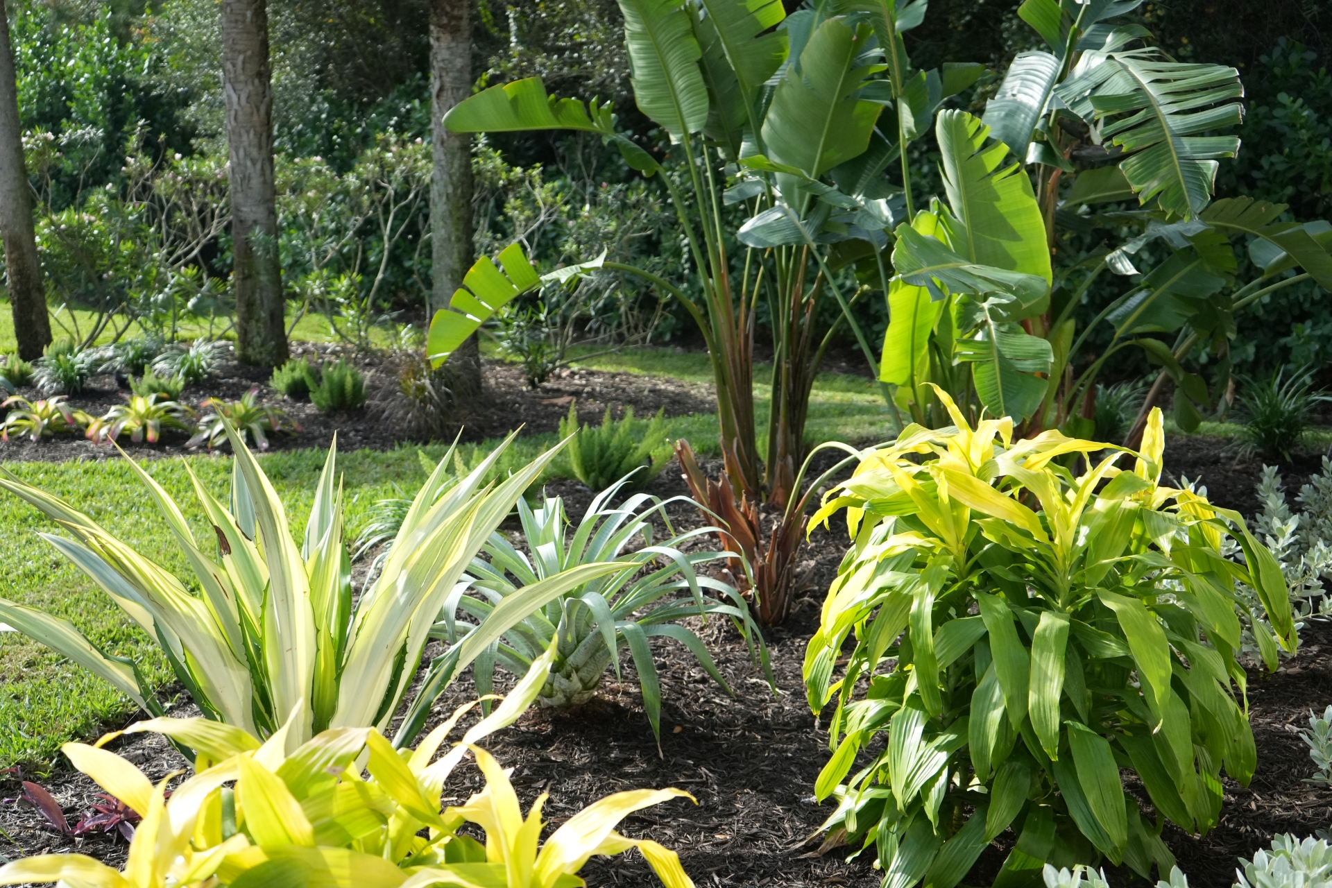 11 top fort myers landscaping company