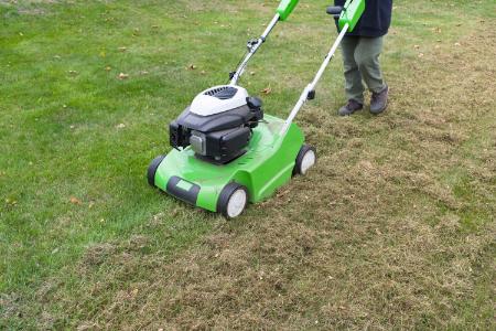 Lawn Dethatching