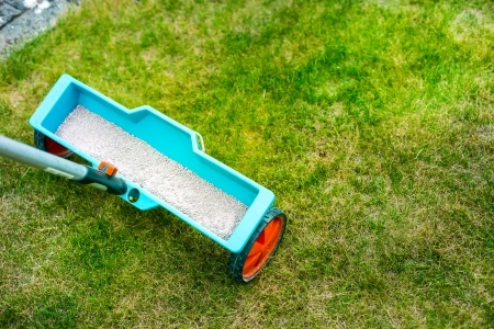 Lawn Fertilization