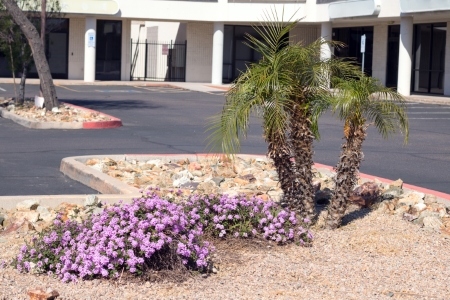 Shopping Center Landscape Maintenance