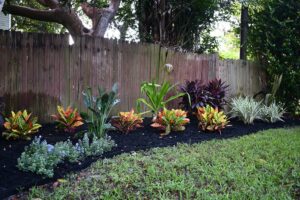 fort myers landscaping