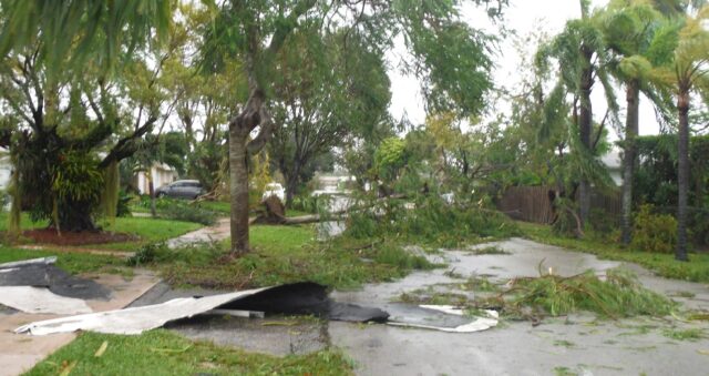 Caring for Your Landscape After a Hurricane