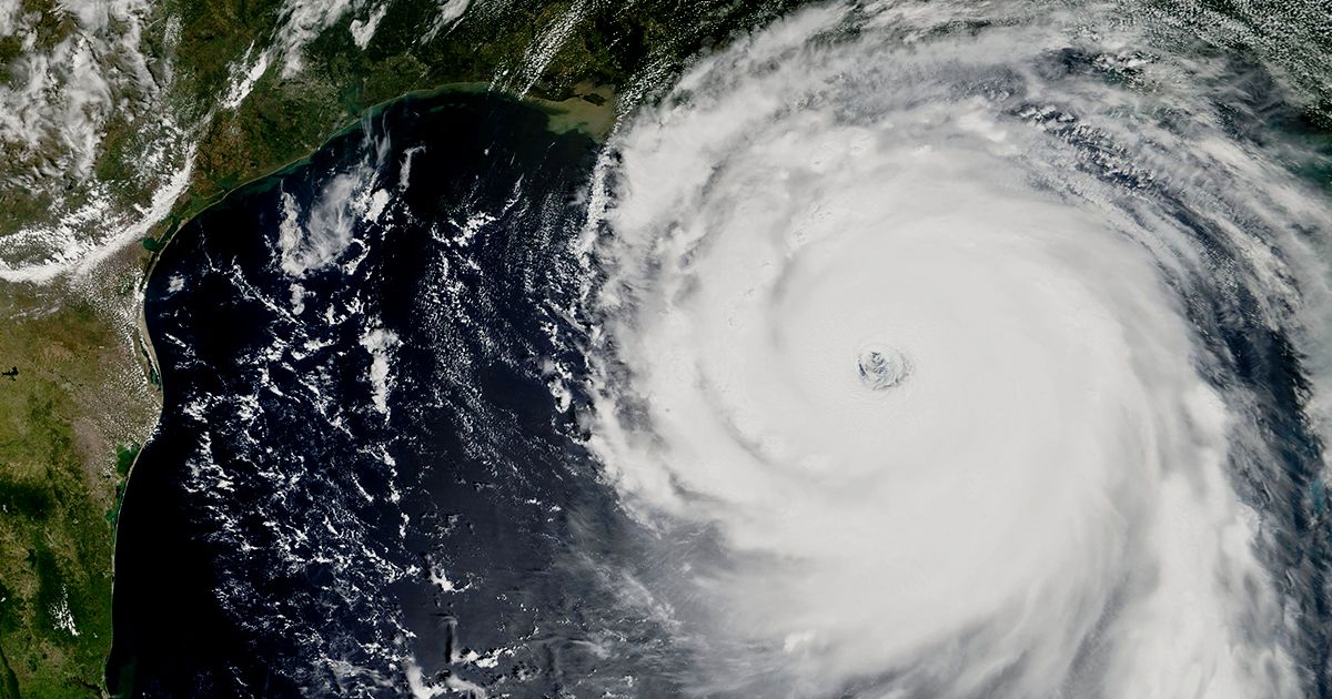 https://peerlandscaping.com/wp-content/uploads/2022/10/preparing-landscape-for-hurricanes-florida.jpeg